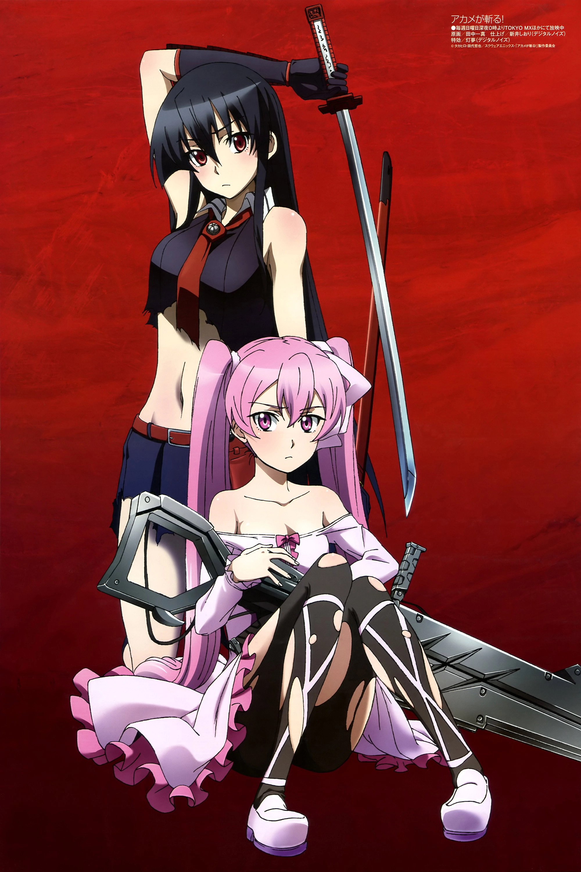 Akame ga Kill!