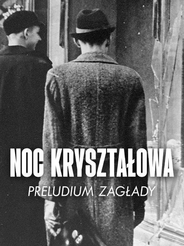 La Nuit de cristal : Les pogroms de novembre