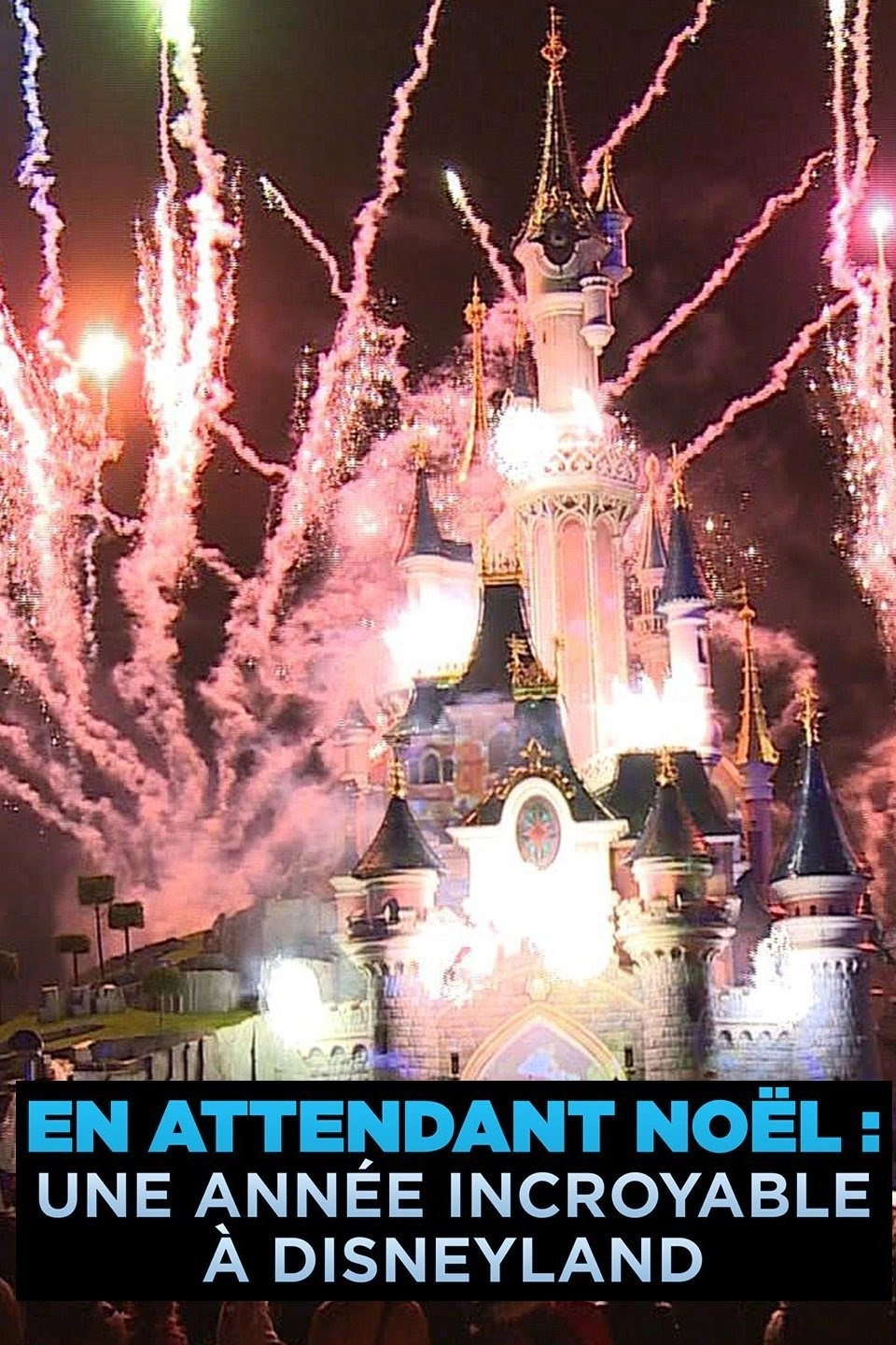 Waiting for Christmas: An Incredible Year at Disneyland Paris