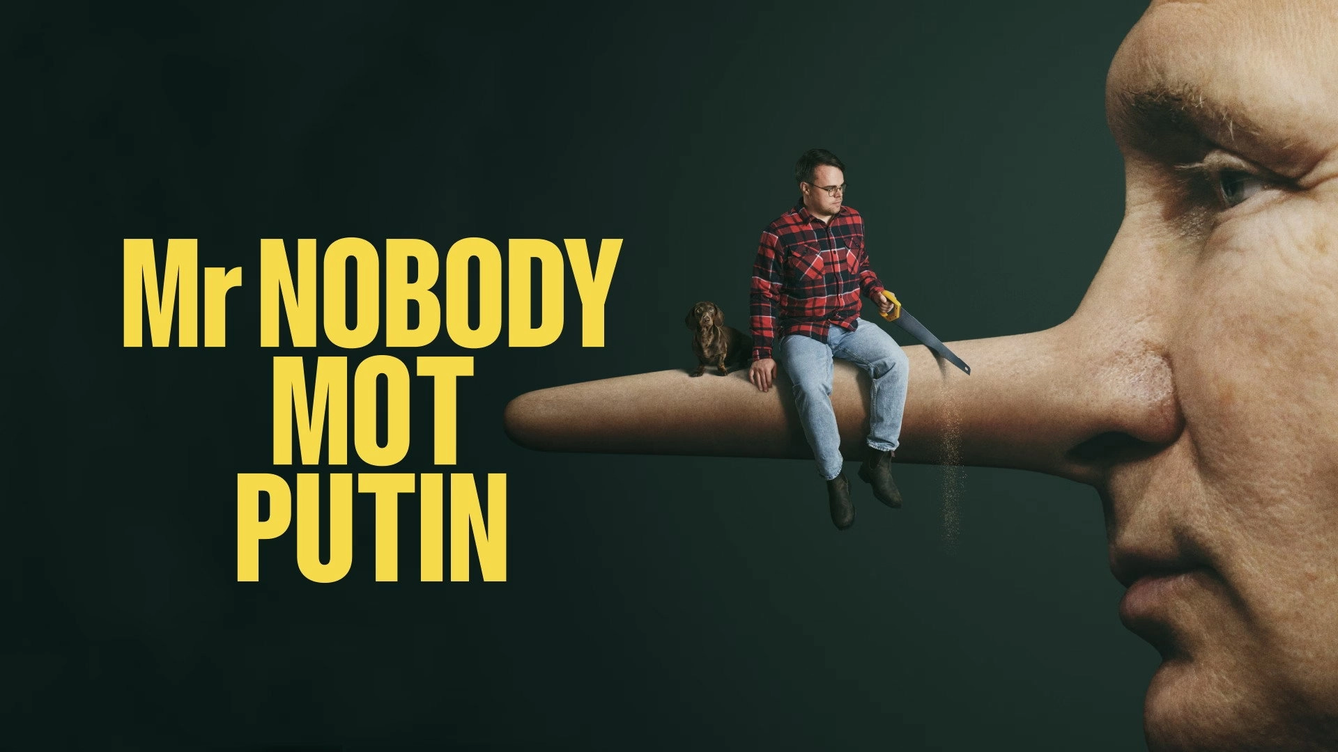 Mr. Nobody Against Putin