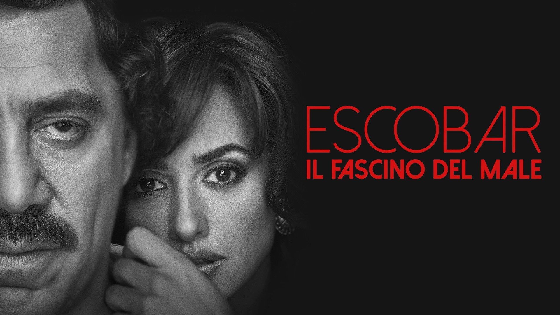Loving Pablo