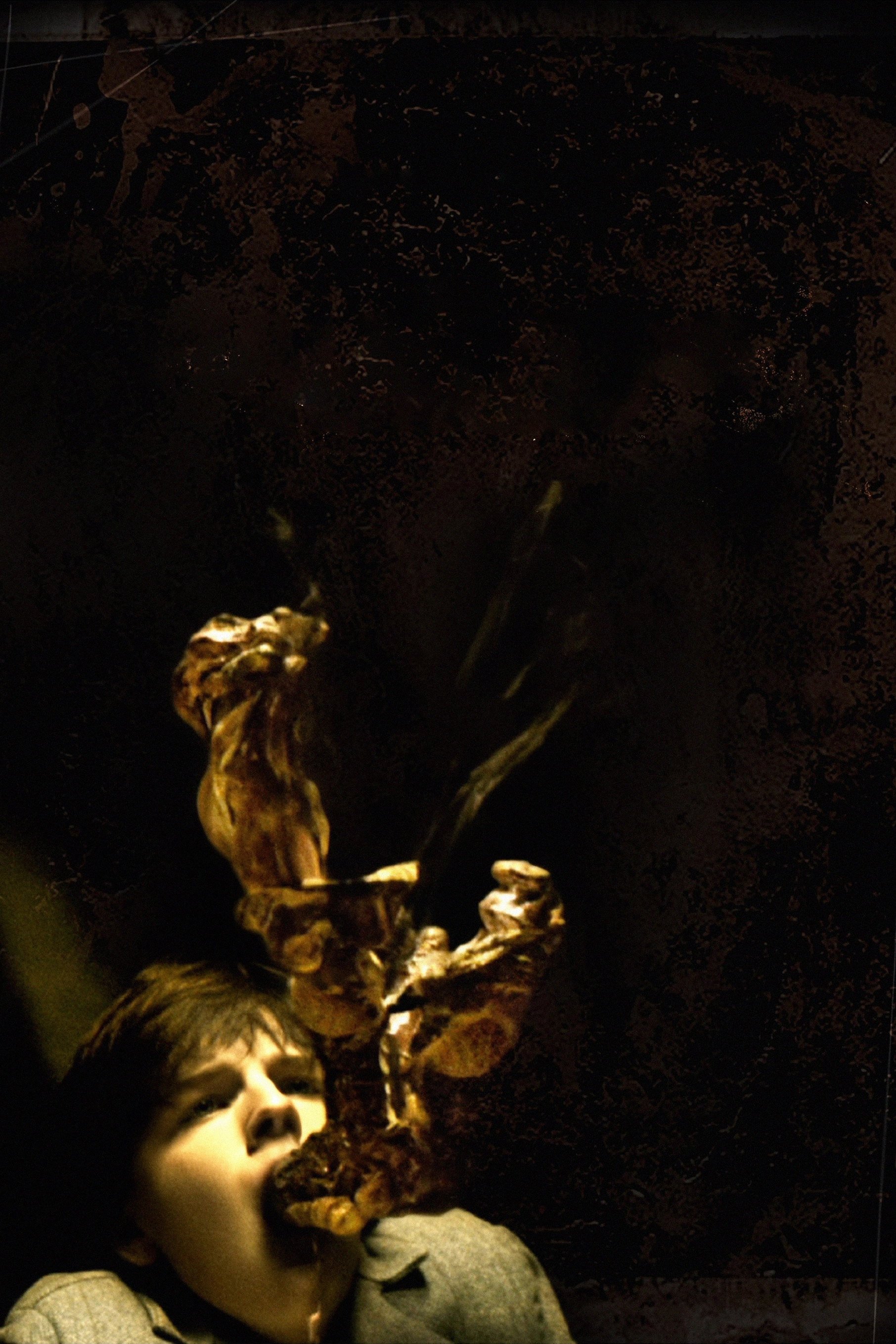 The Haunting in Connecticut