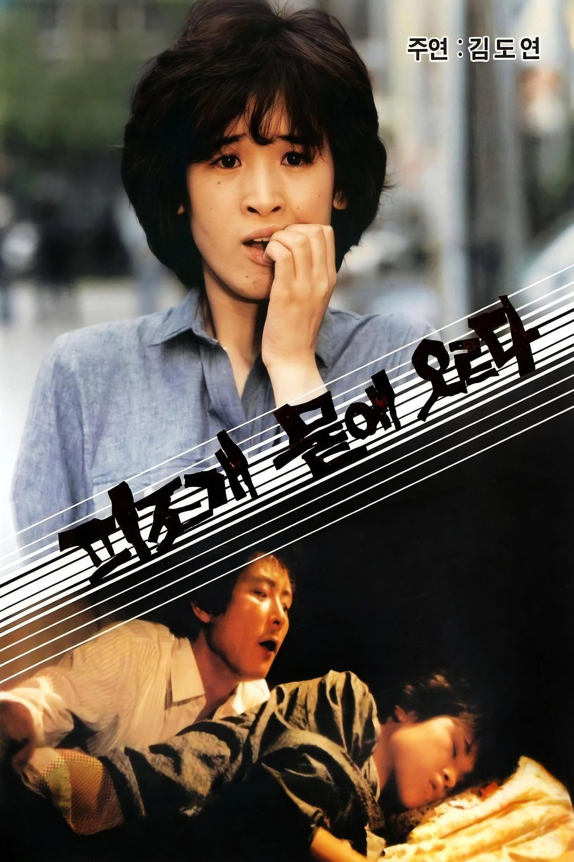 피조개 뭍에 오르다