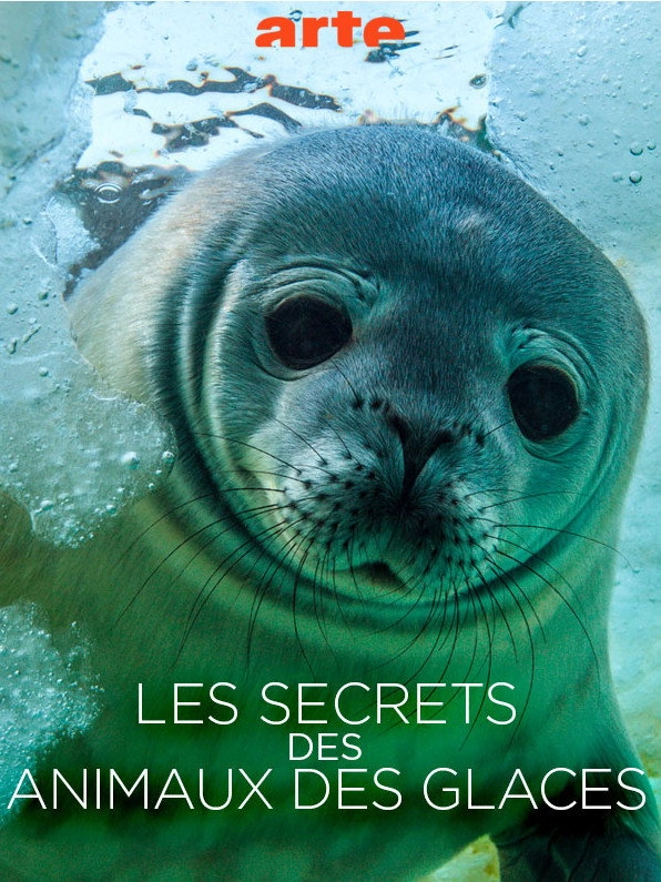 Les Secrets des Animaux des Glaces