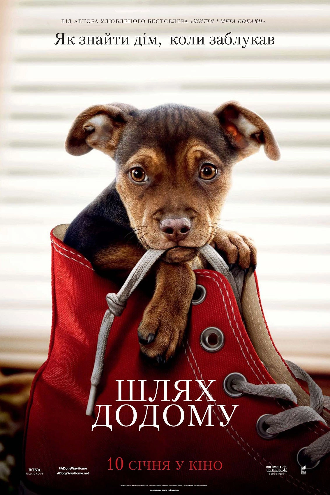A Dog's Way Home