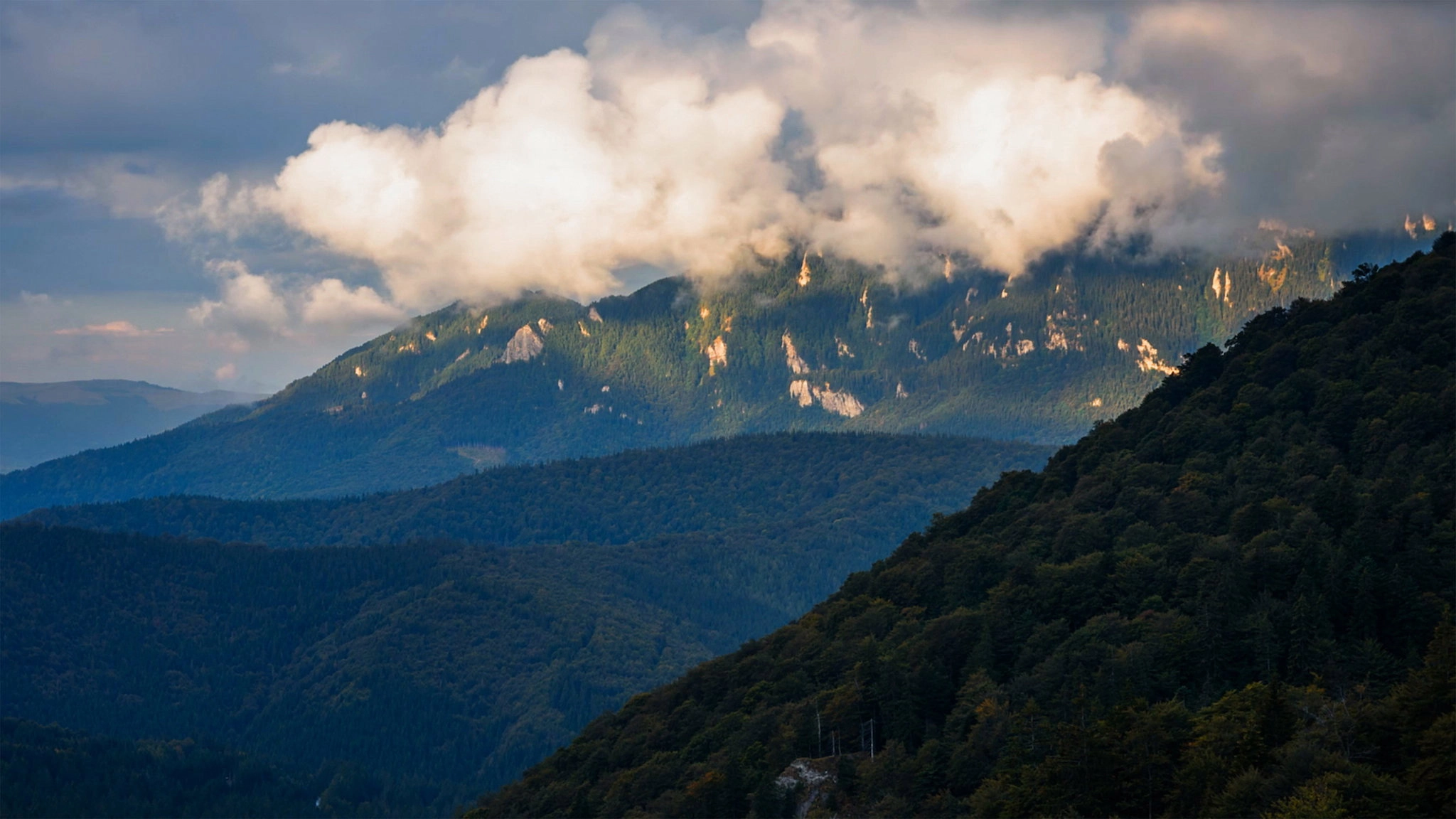 Untamed Romania