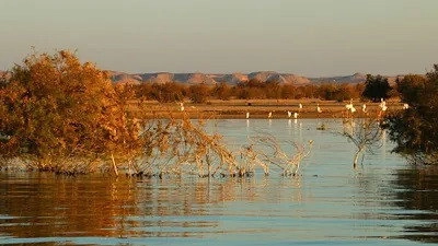 Secret Life of Lakes