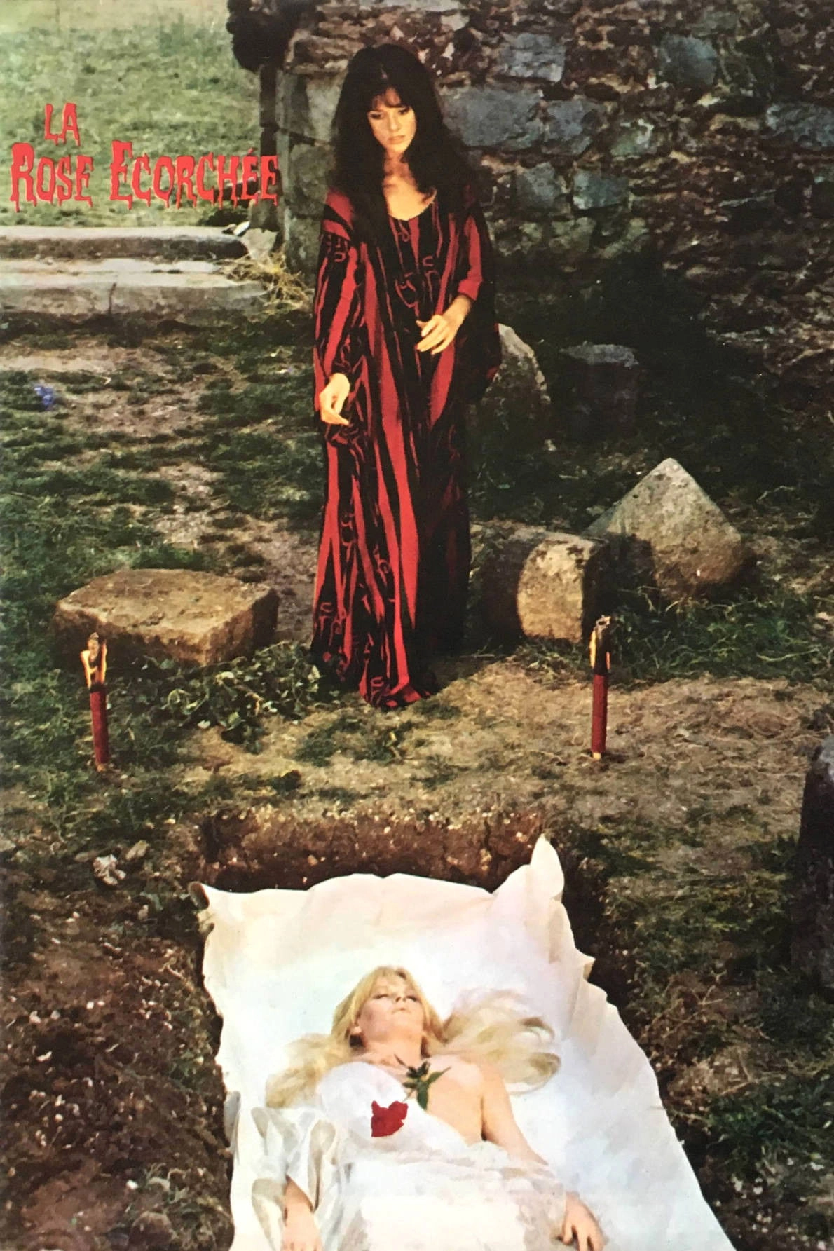 The Blood Rose