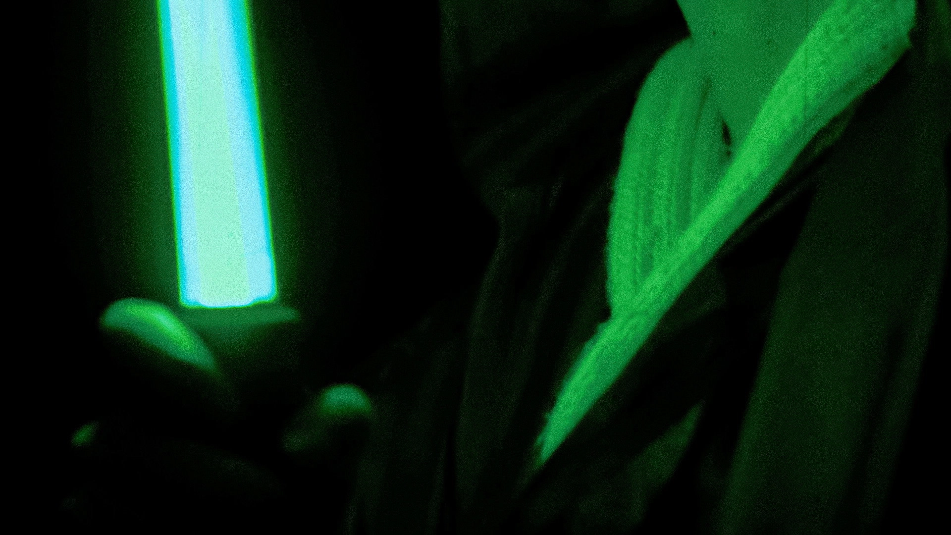 Icons Unearthed: Star Wars
