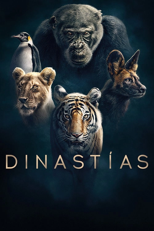 Dynasties