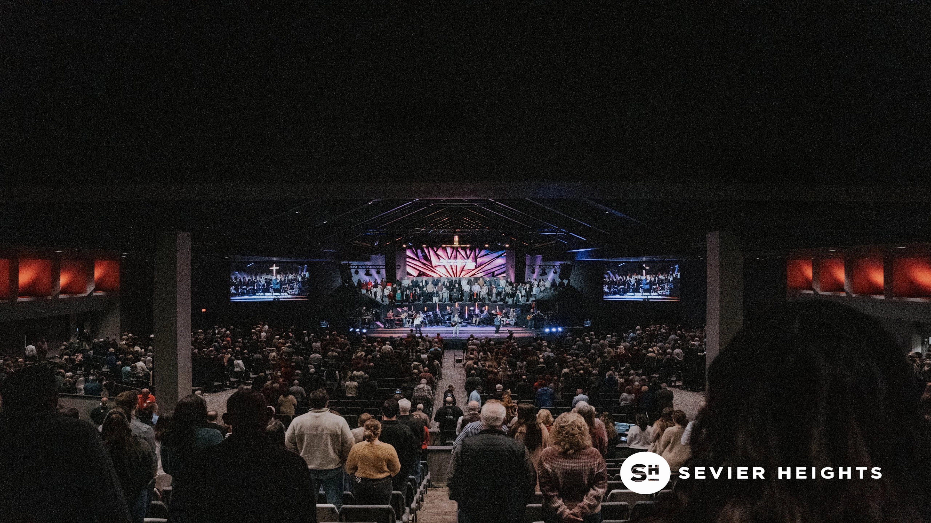 The Sap (Under Our Tongues)