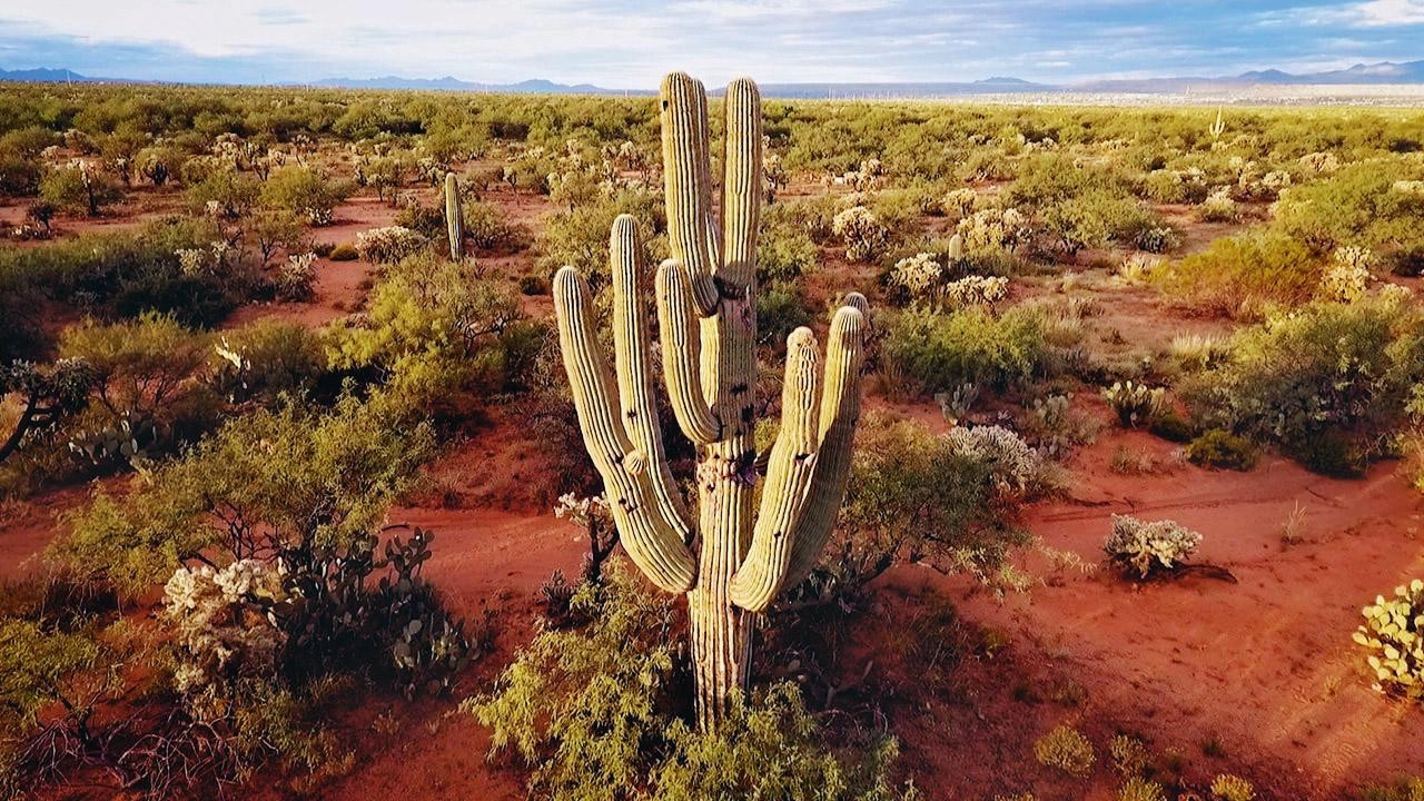 World’s Greatest Natural Wonders