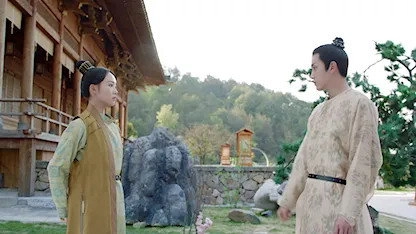 Qing Qing Zi Jin