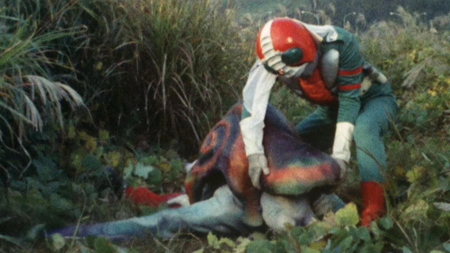 Kamen Rider V3