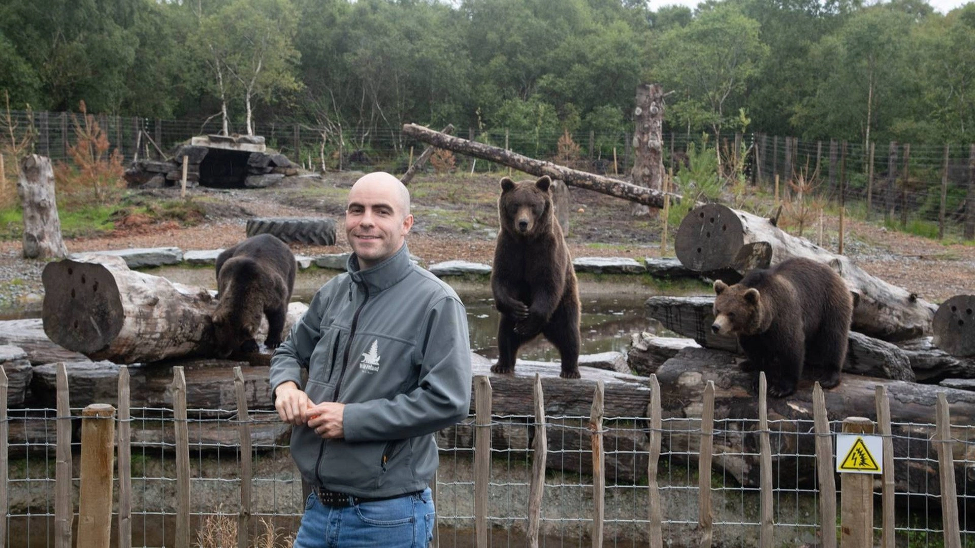 Return of the Wild: The Bearman of Buncrana