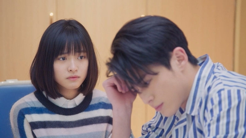 Meteor Garden