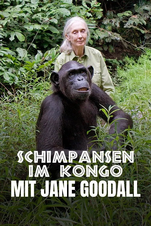 Schimpansen im Kongo mit Jane Goodall