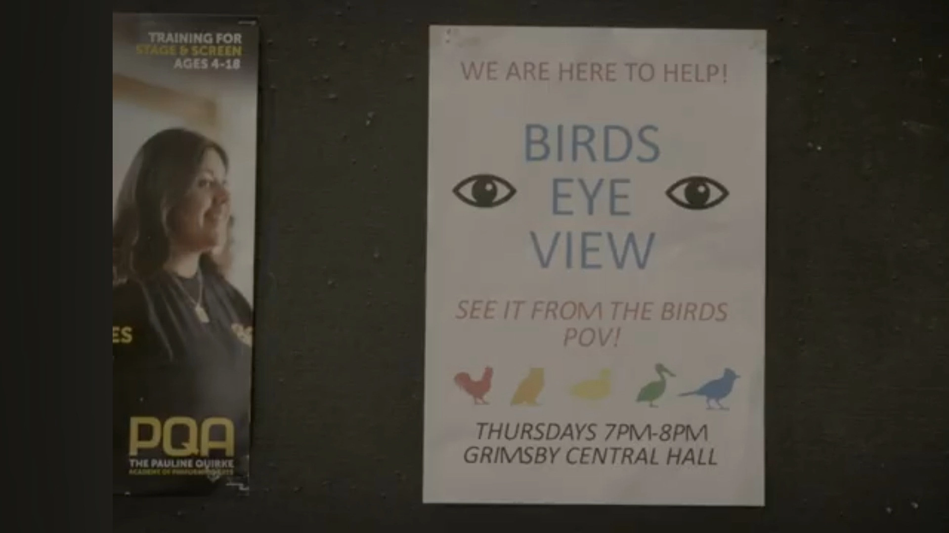 Birds Eye View