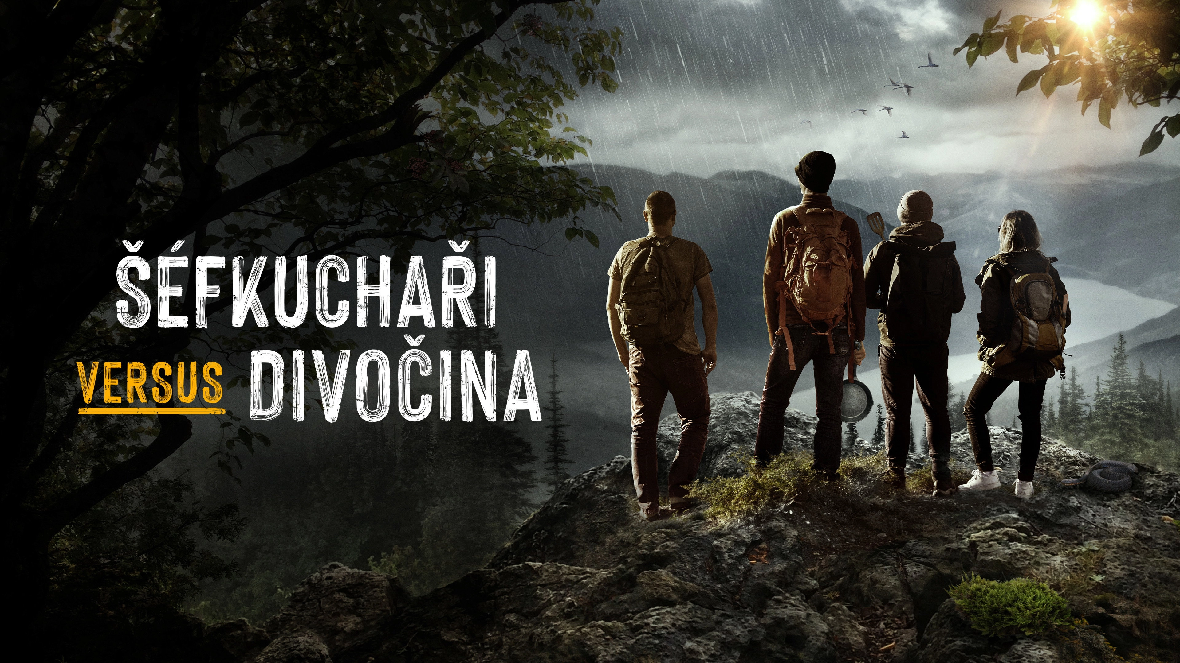 Chefs vs Wild
