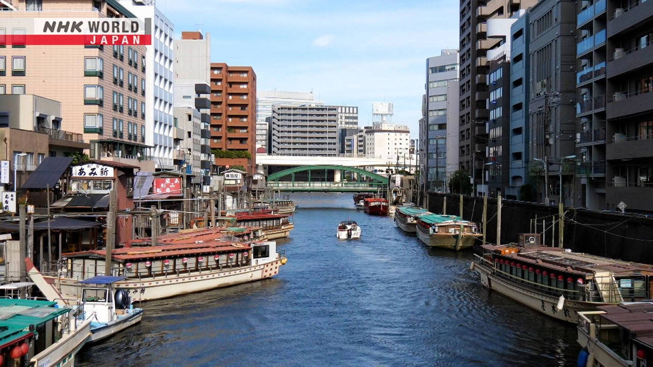 Dive in Tokyo