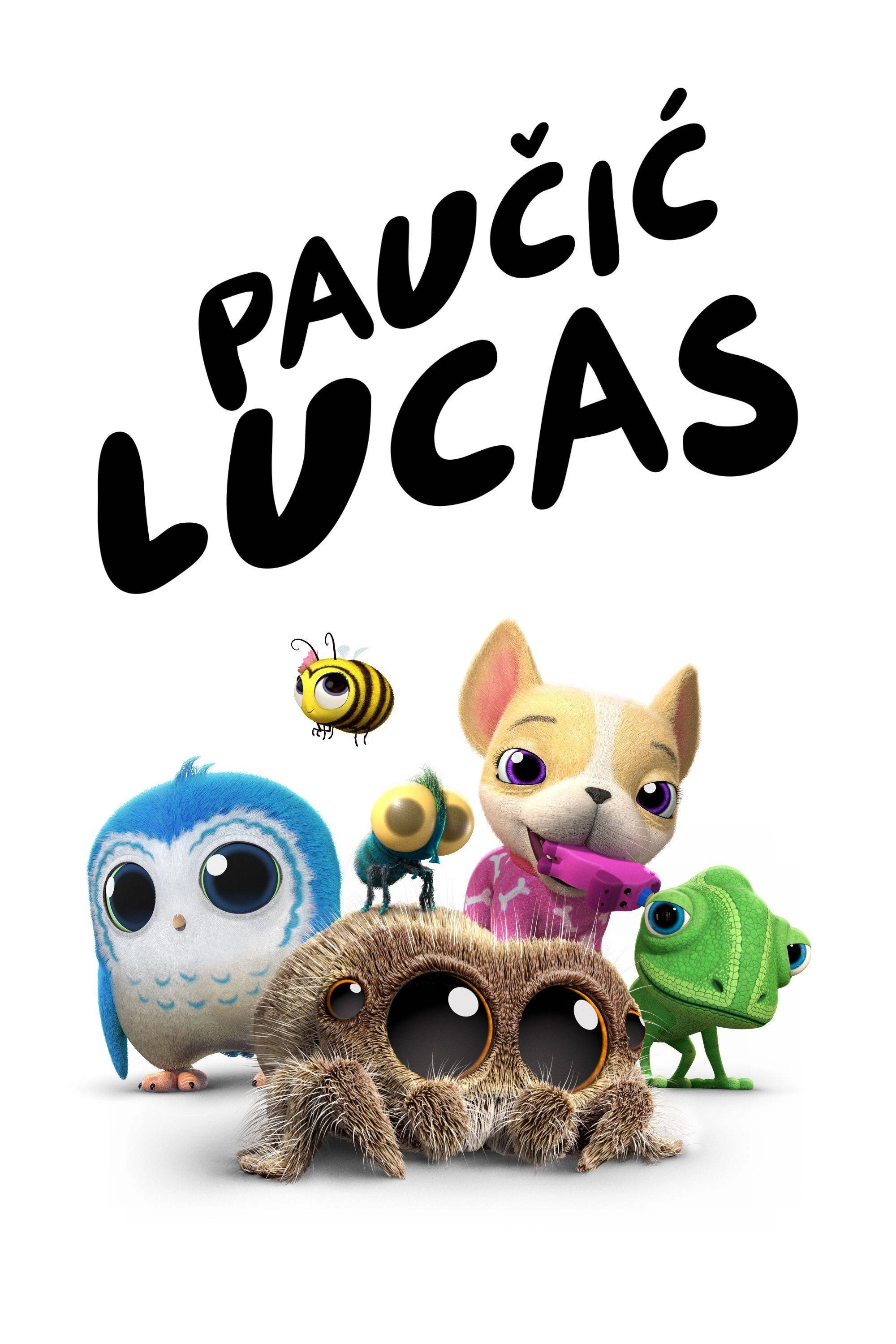 Lucas the Spider