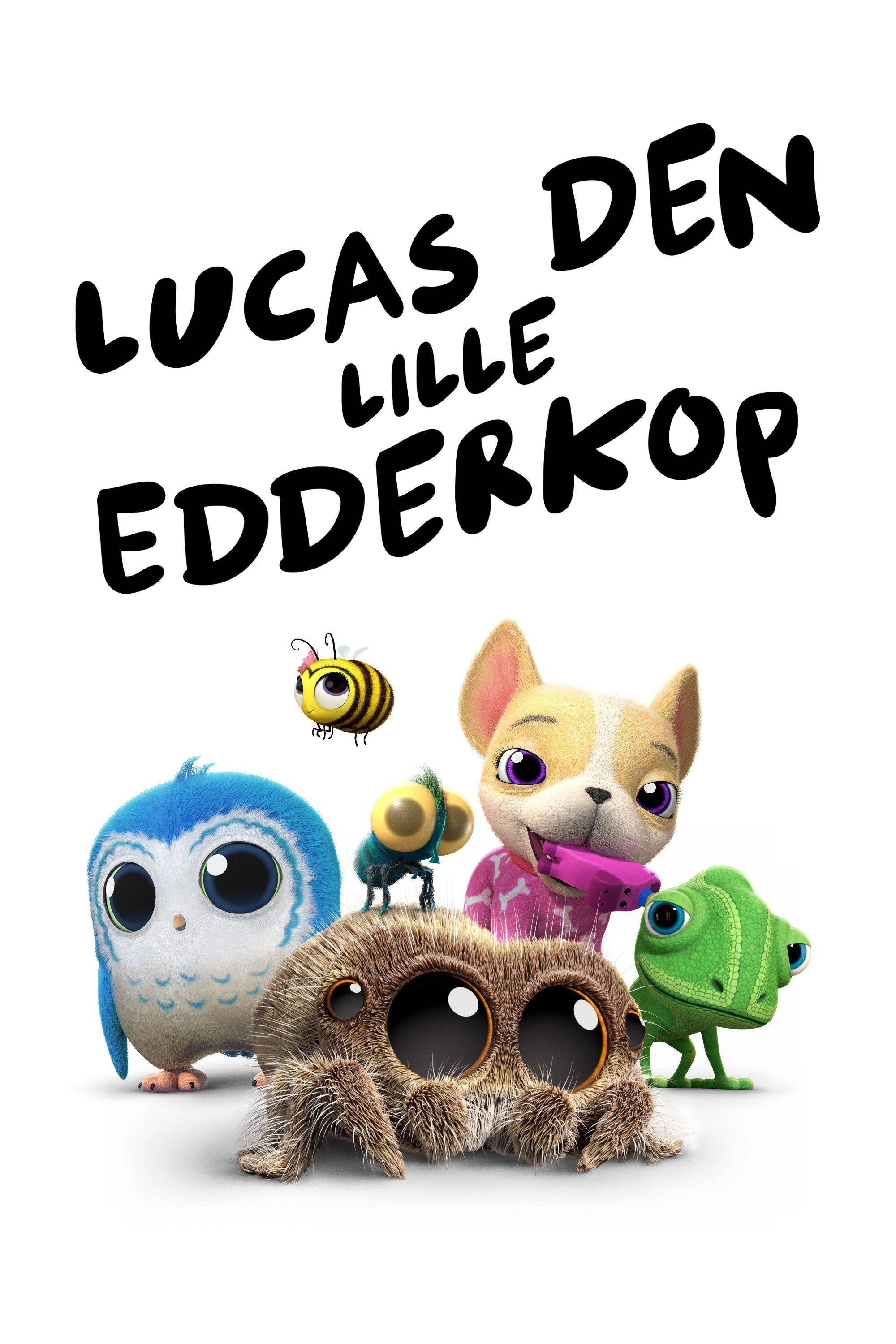 Lucas the Spider