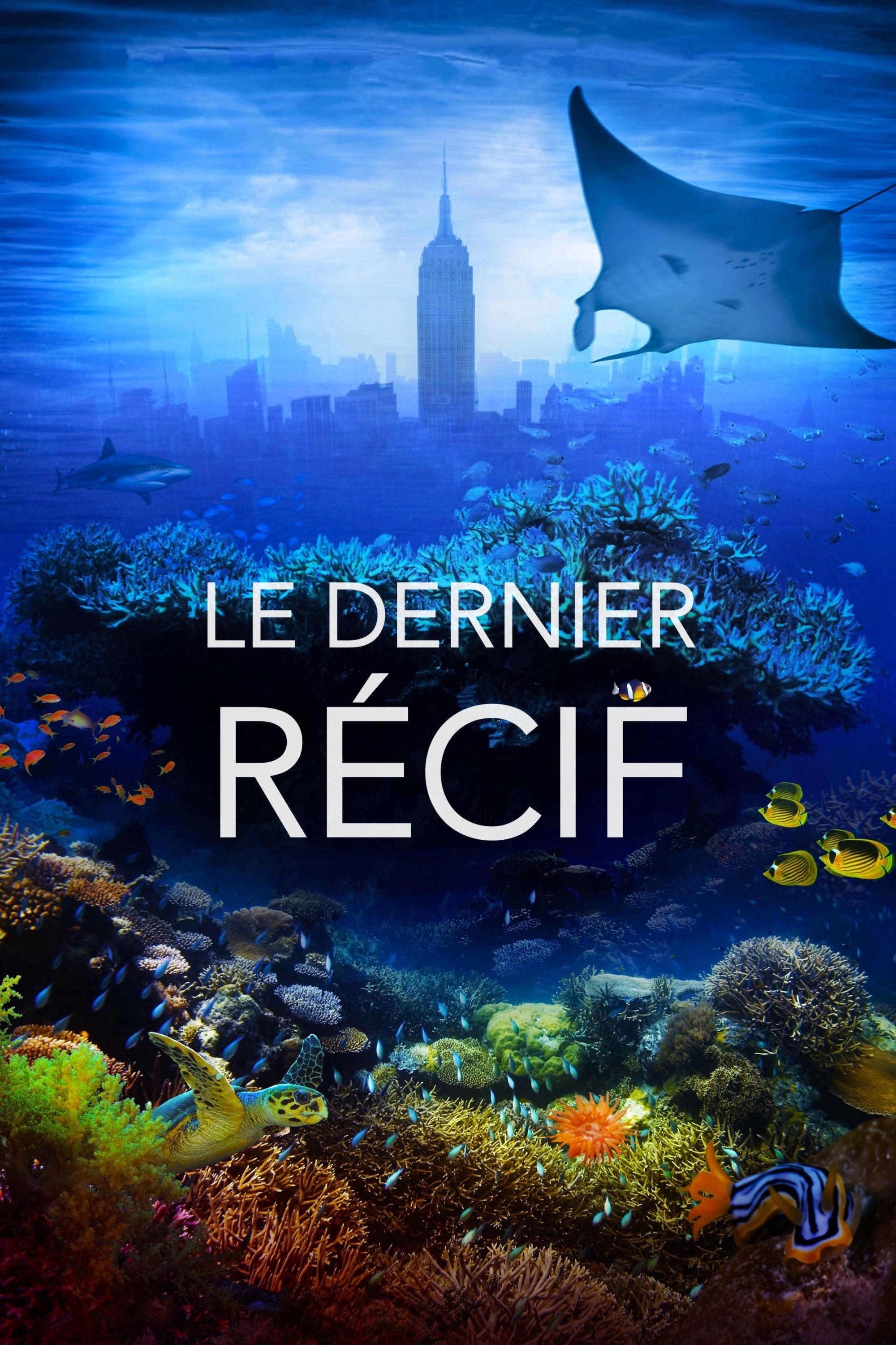 The Last Reef: Cities Beneath the Sea