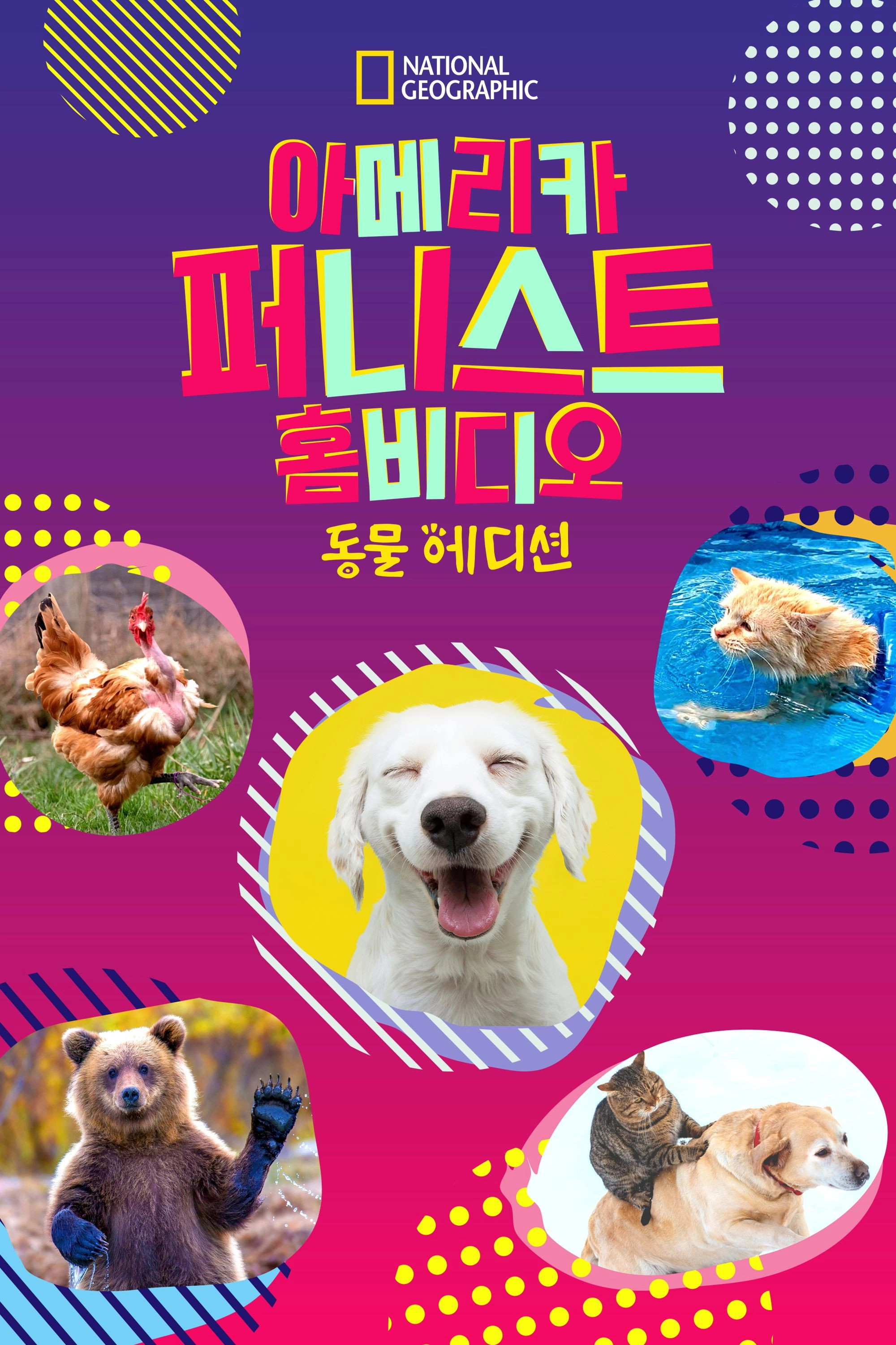 America's Funniest Home Videos: Animal Edition