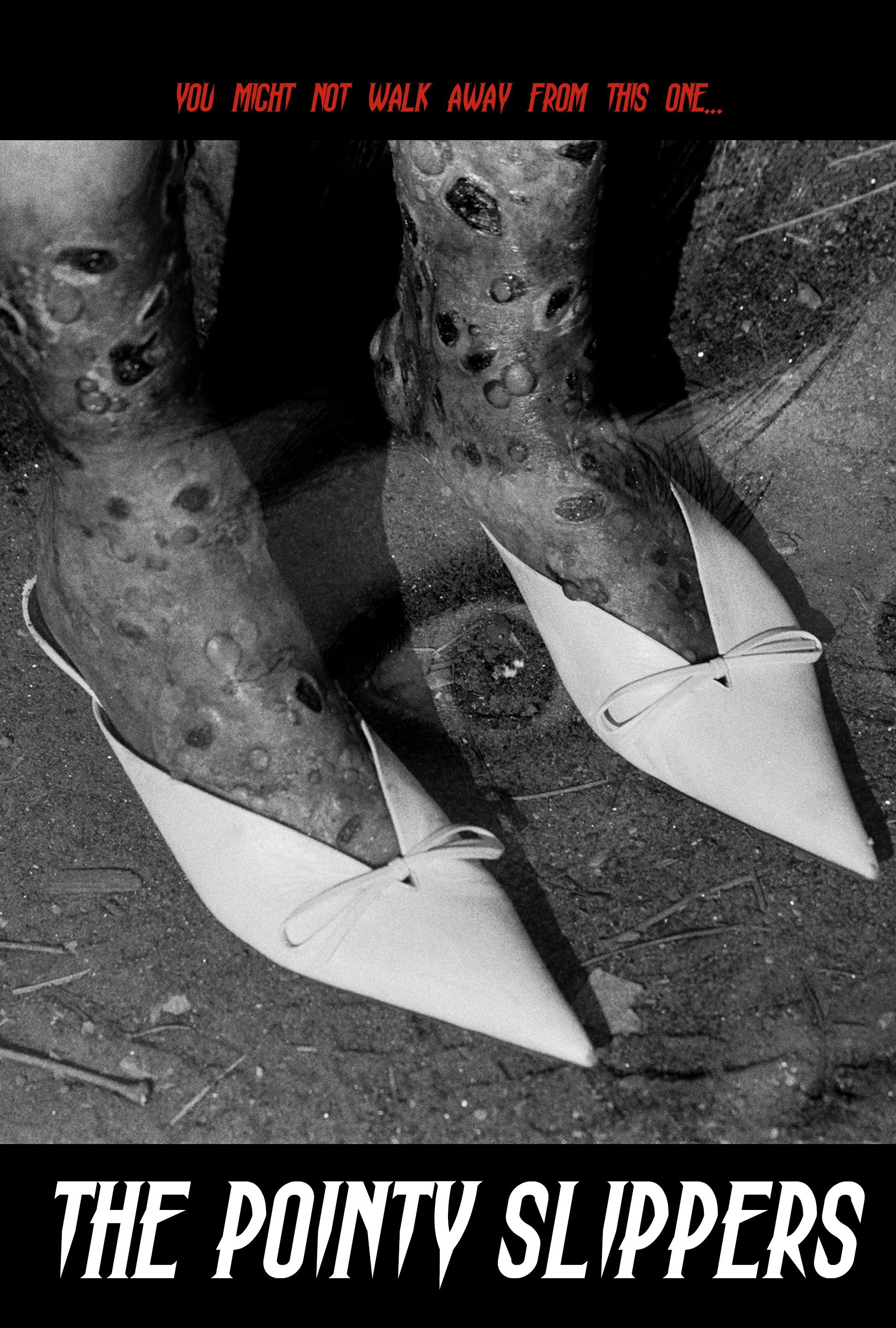 The Pointy Slippers