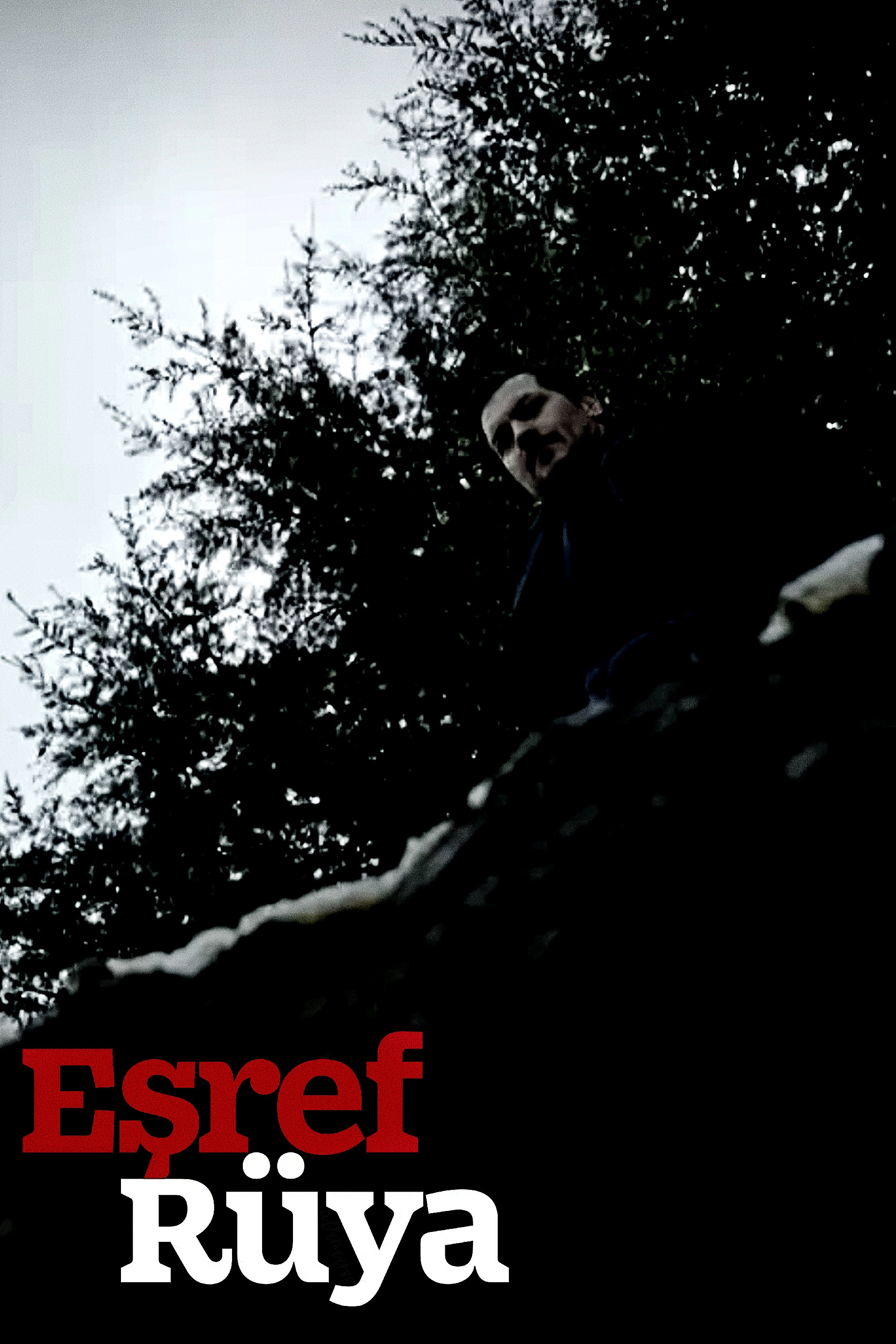 Esref's Dream