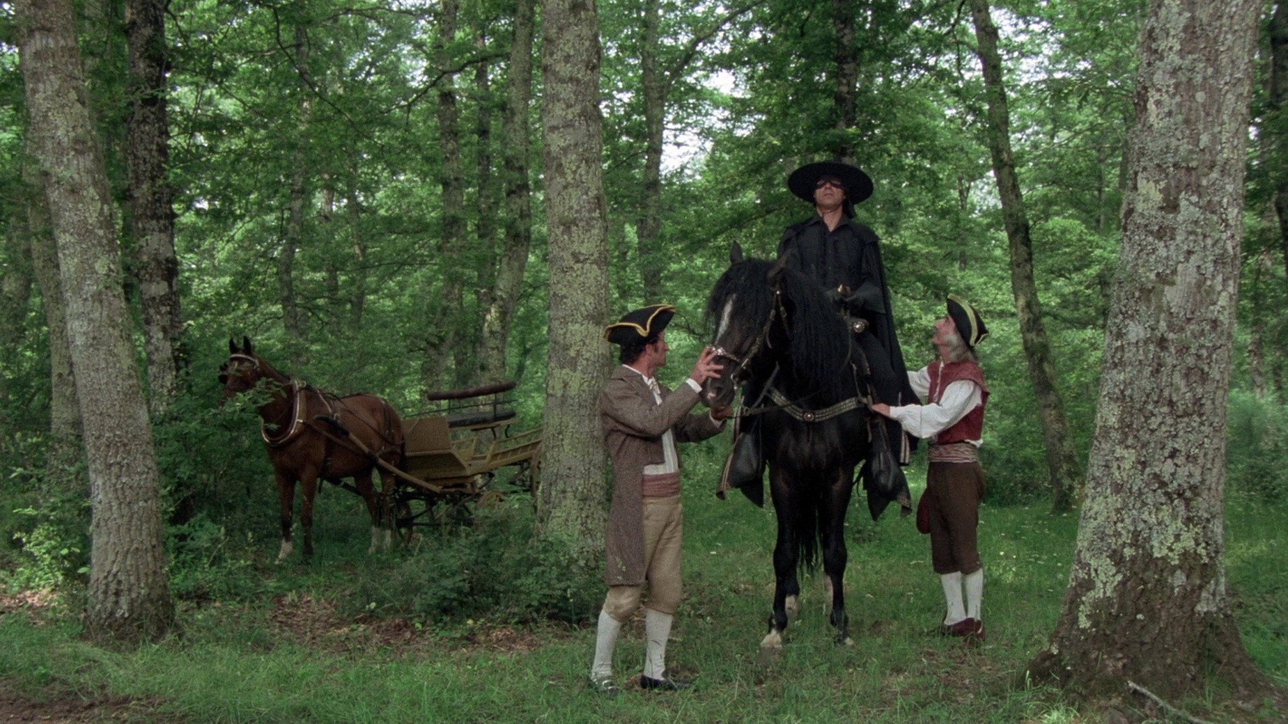 Dream of Zorro