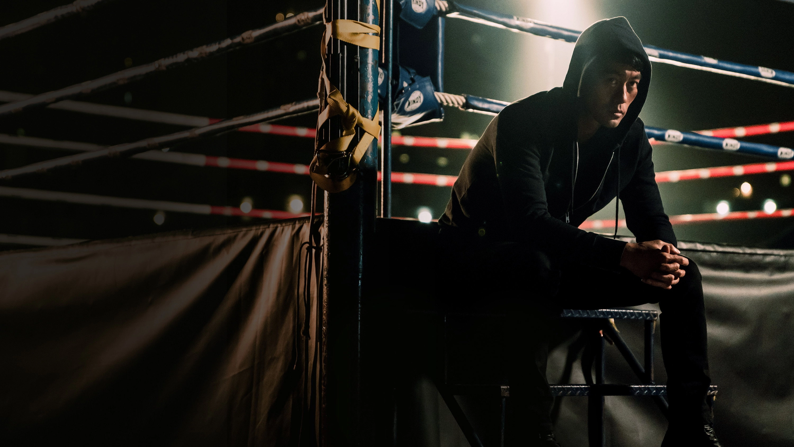 Quan Dao: The Journey of a Boxer