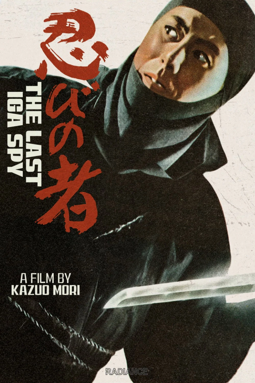 Shinobi No Mono 6: The Last Iga Spy