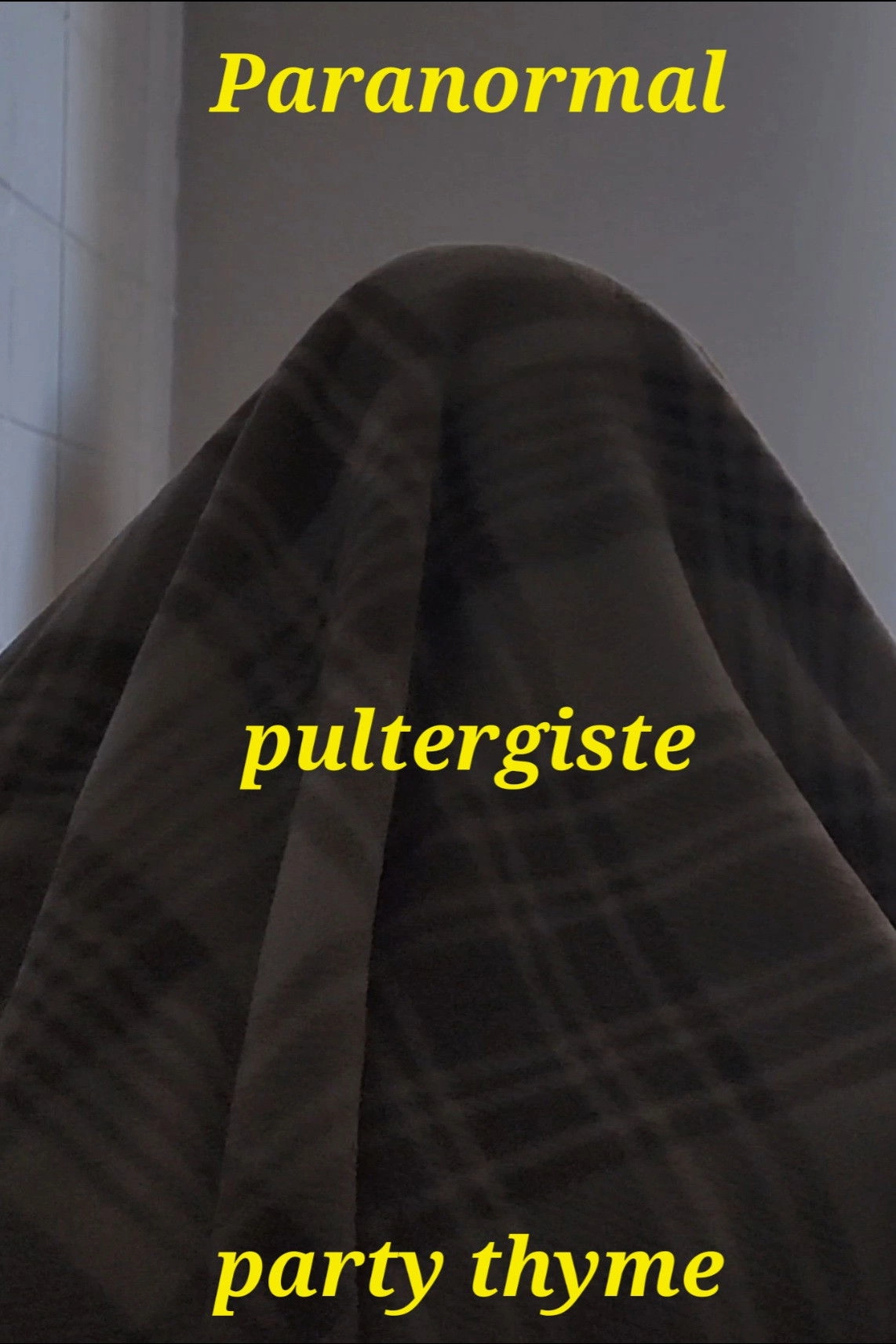 Paranormal Poltergeist Party Time