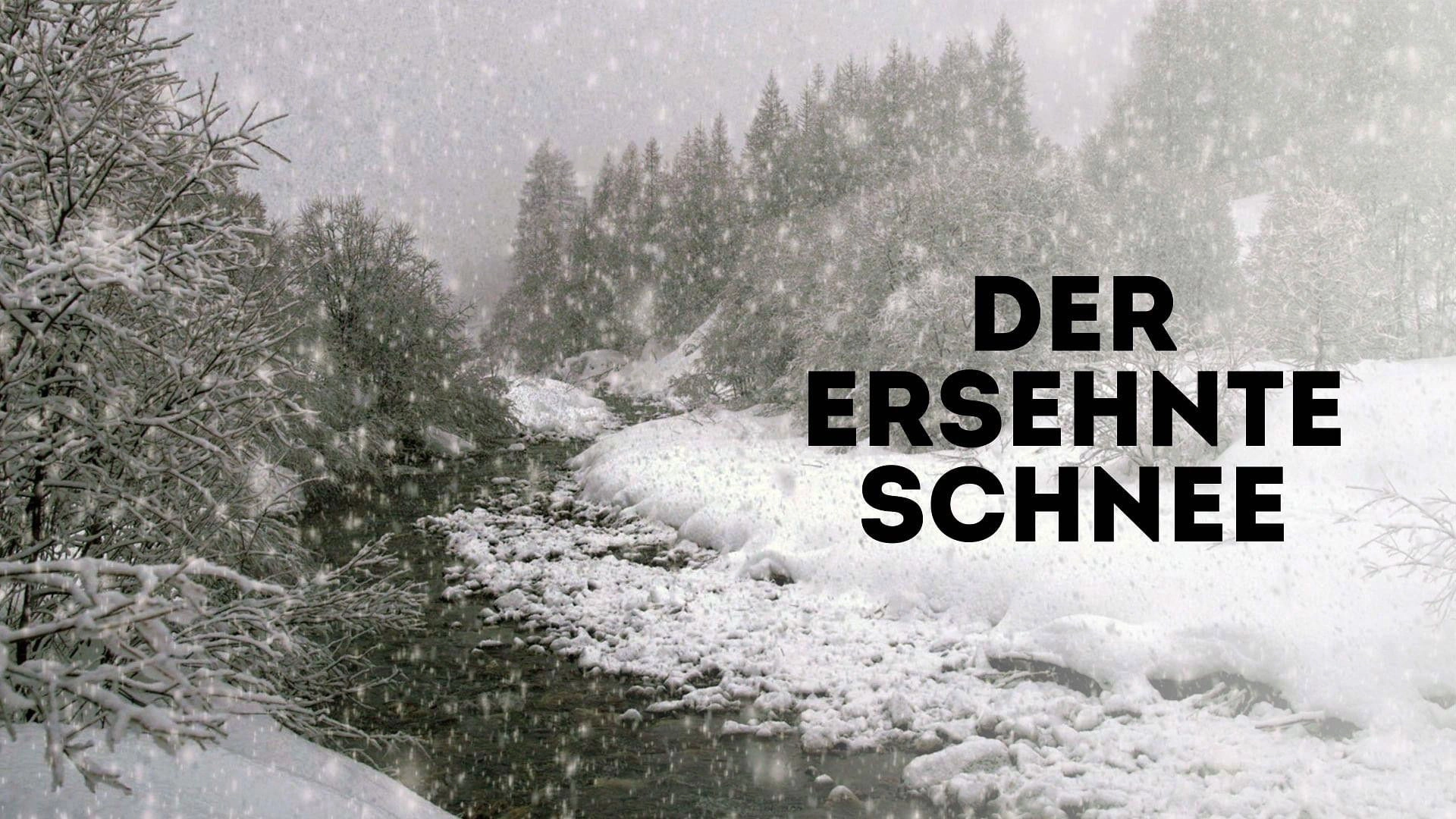 The Search for Snow