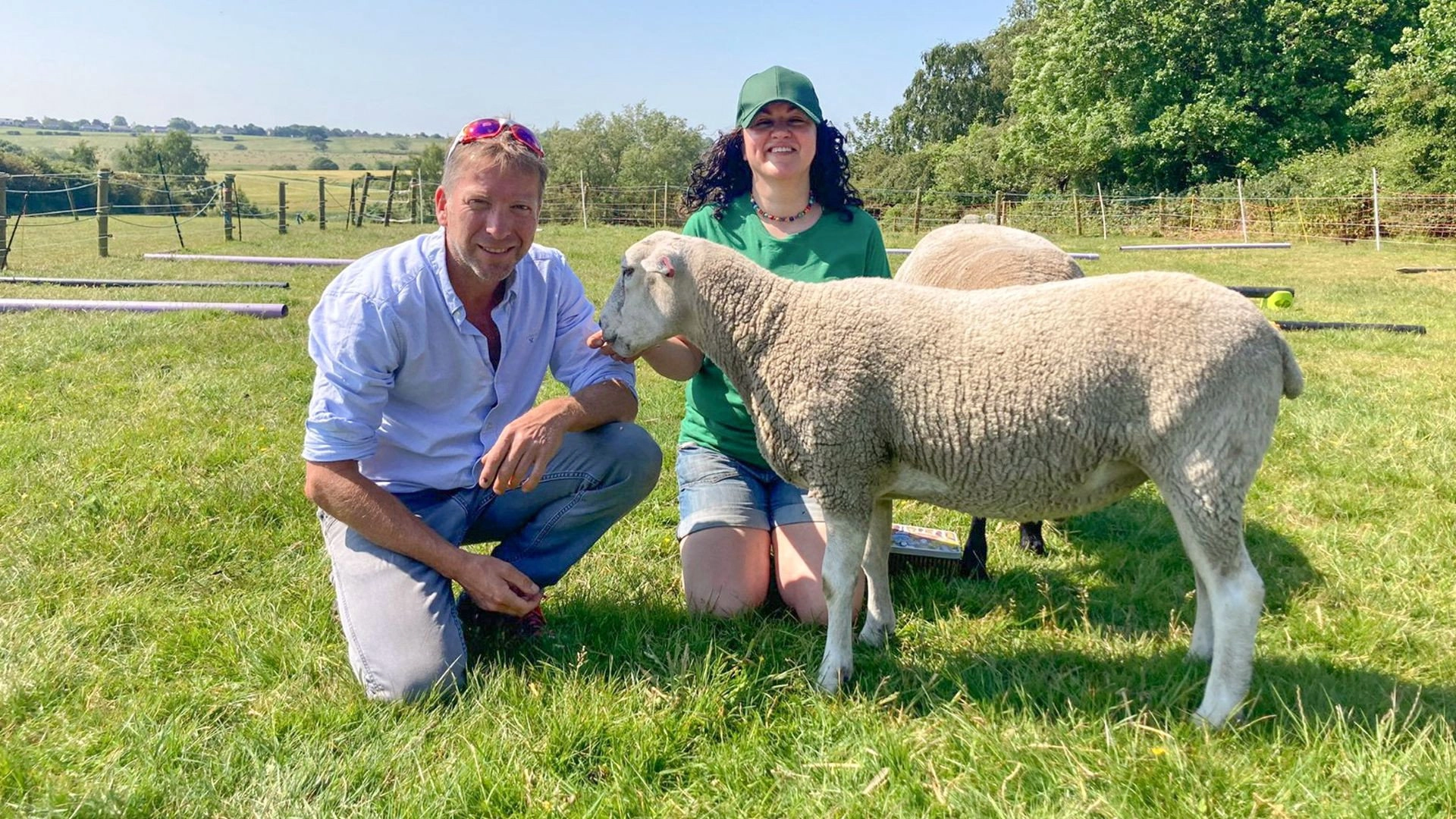 The Yorkshire Vet