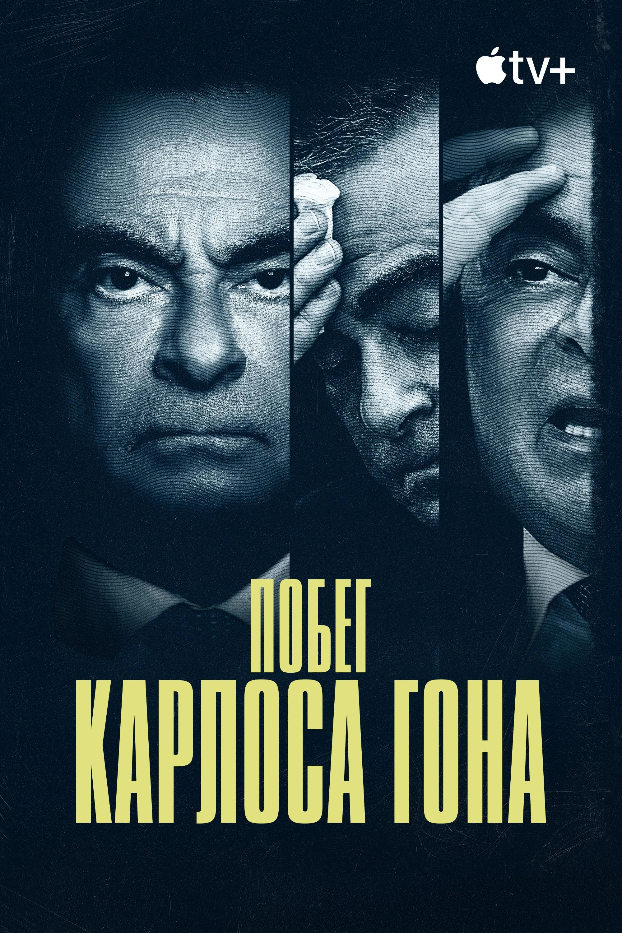 Wanted: The Escape of Carlos Ghosn