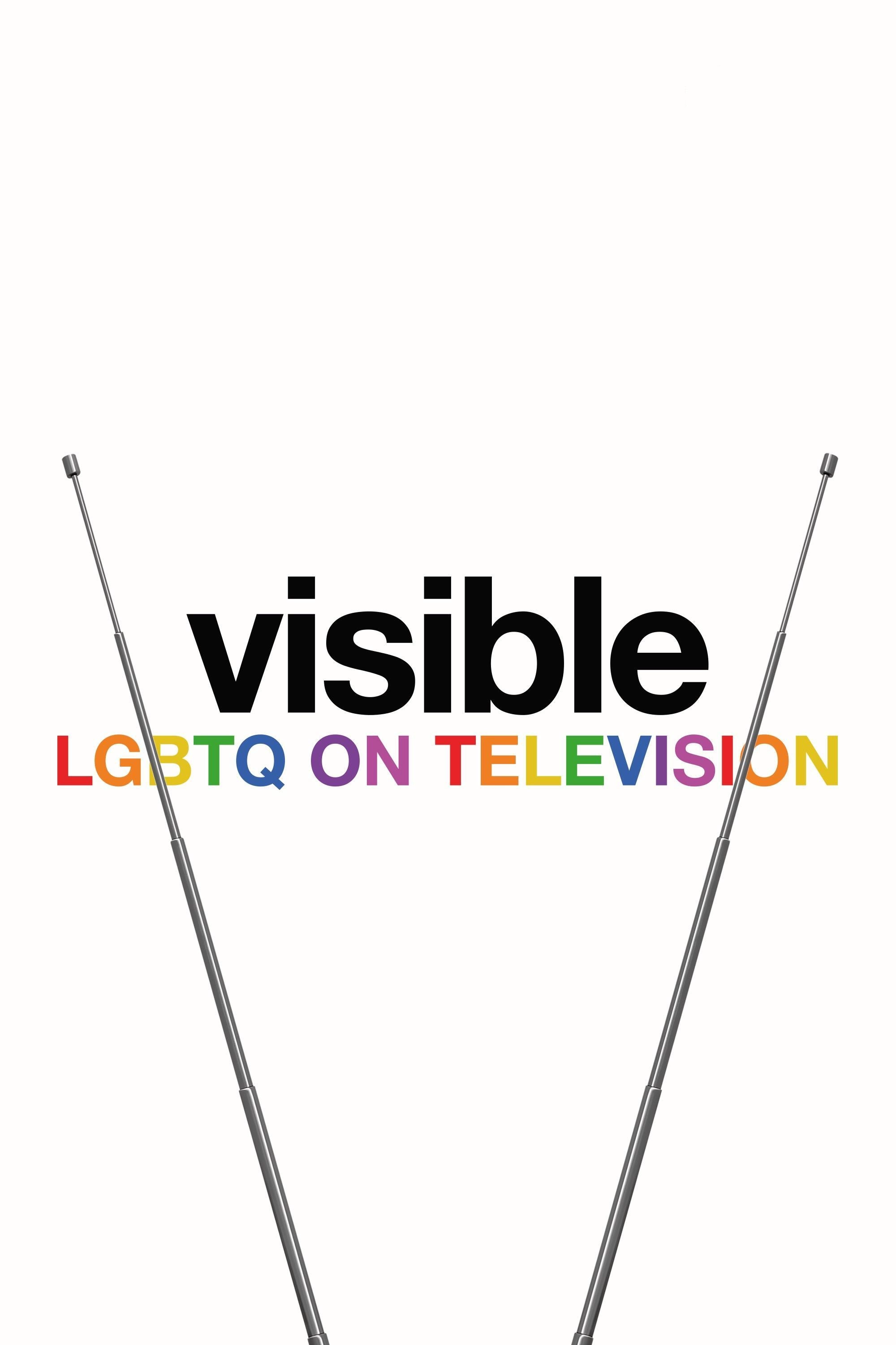 Visible: Out on Television