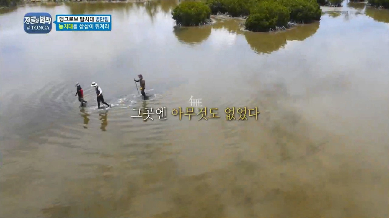 Law of the Jungle