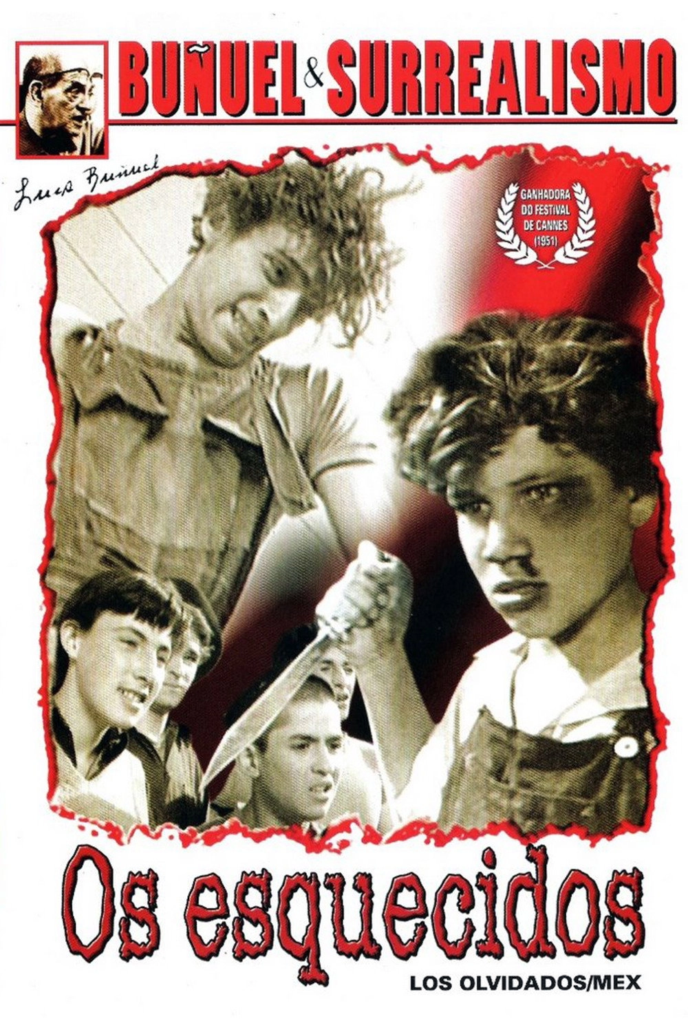 The Young and the Damned