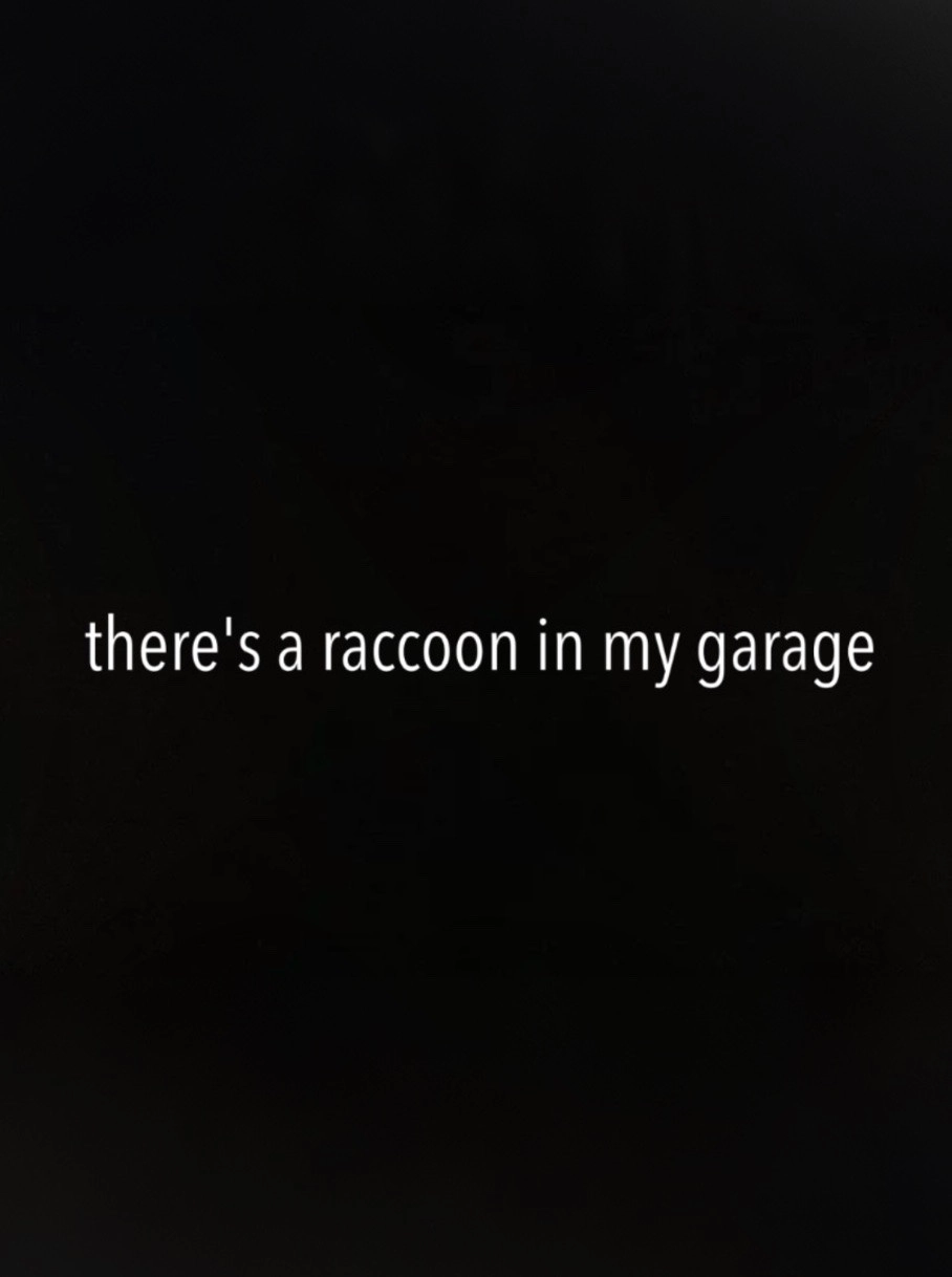 There's a Raccoon in My Garage