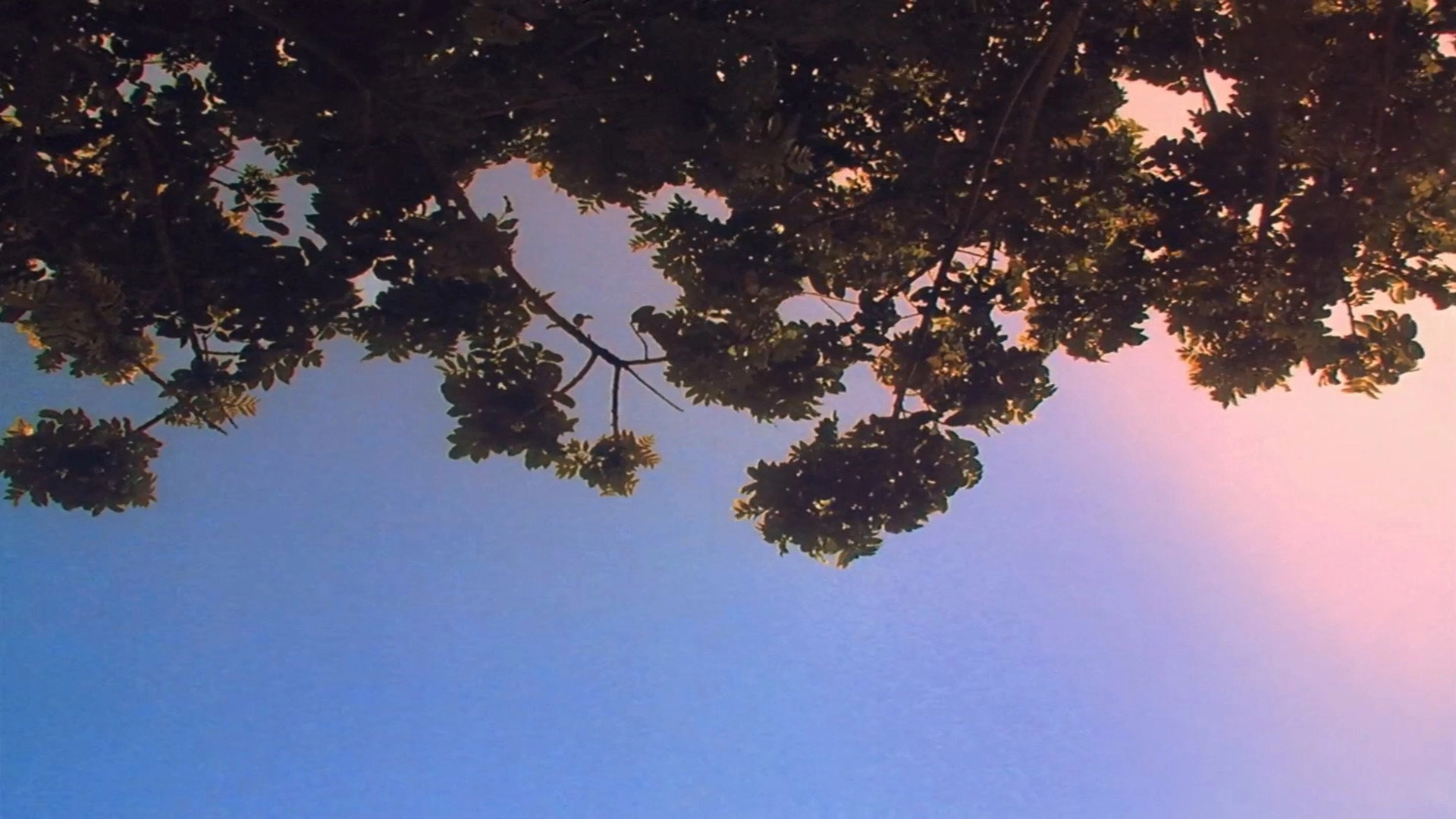 It's Such a Beautiful Day
