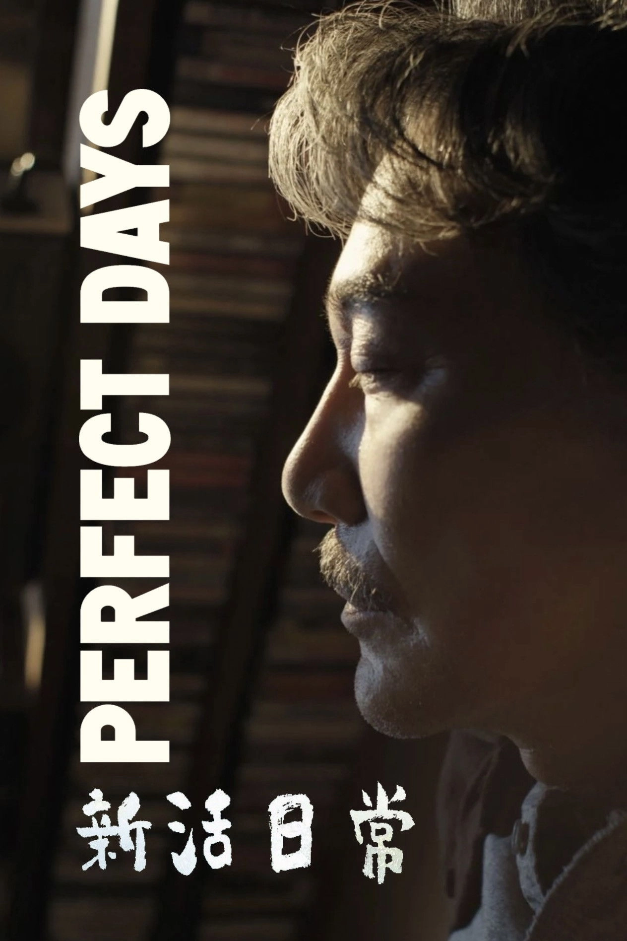 Perfect Days