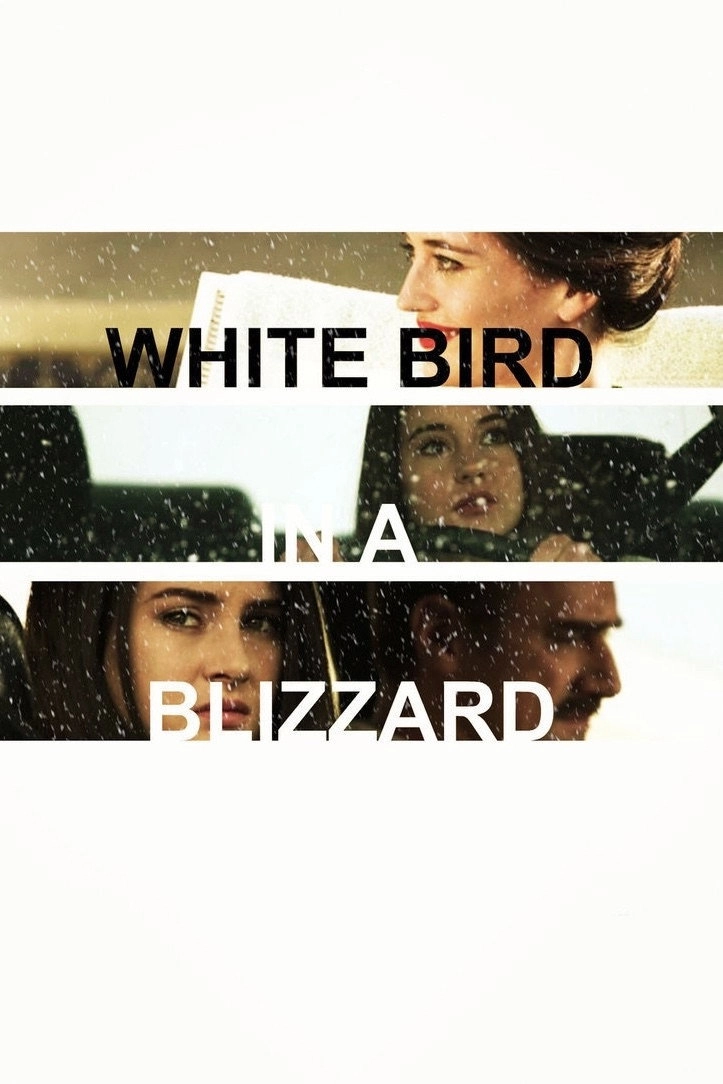White Bird in a Blizzard