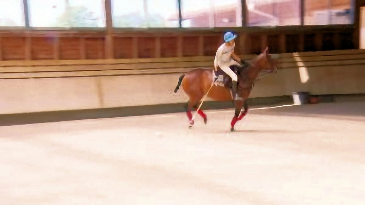 Au galop ! une saison à cheval