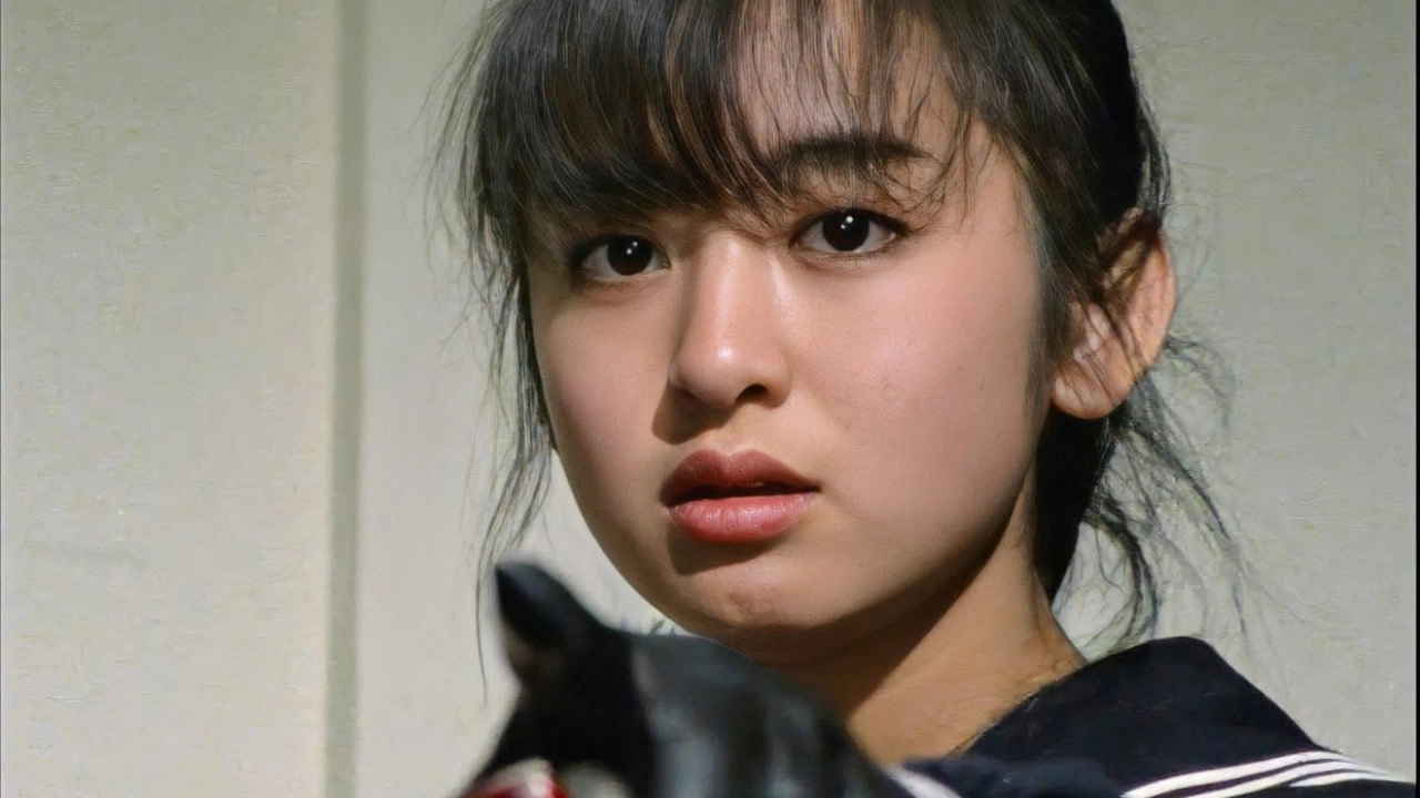 Sukeban Deka