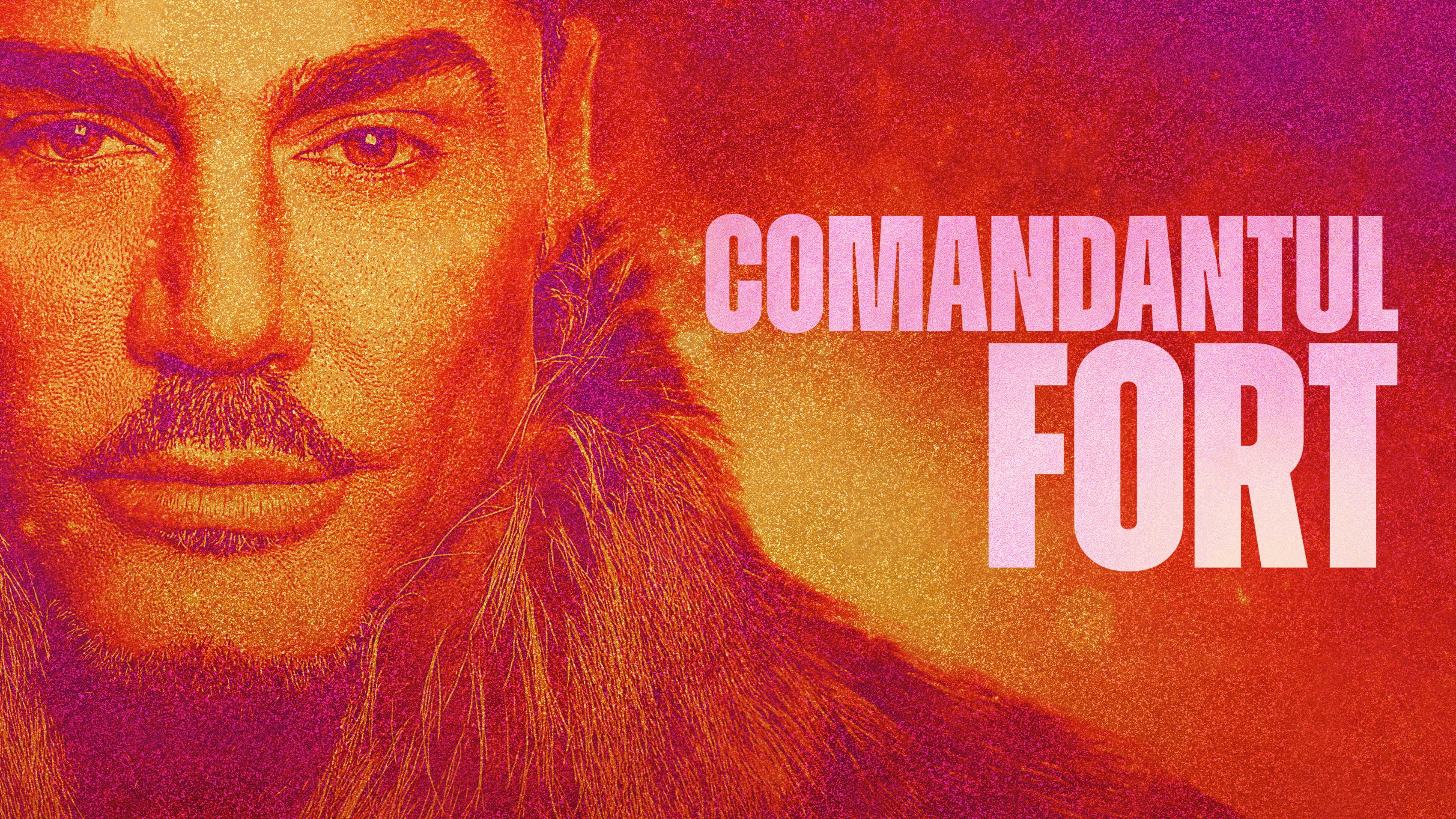Commander Fort