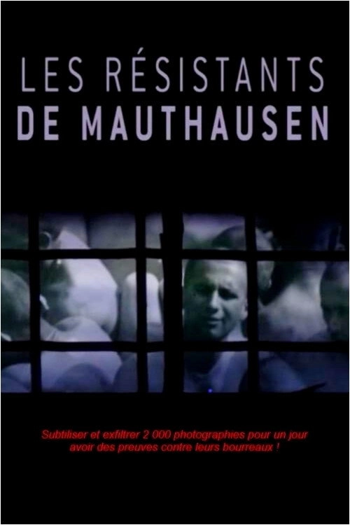 The Mauthausen Resistance