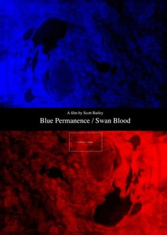 Blue Permanence / Swan Blood