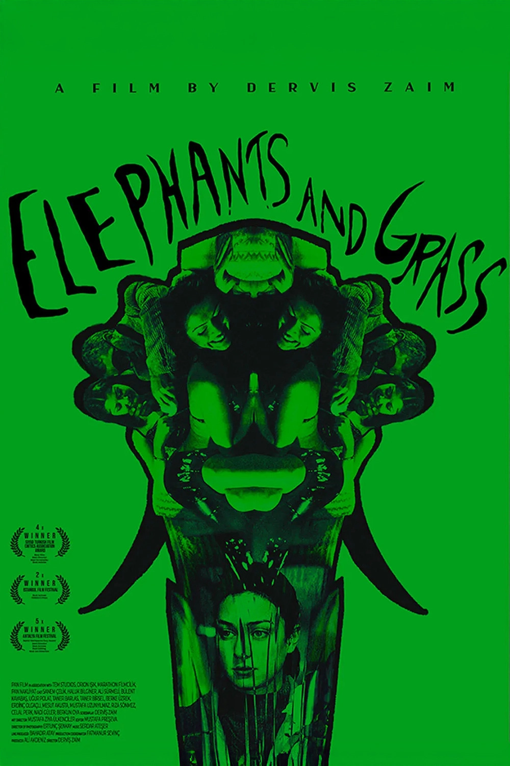 Elephants and Grass